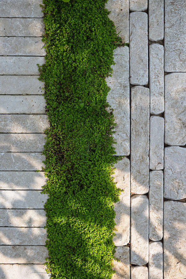 Zahra Beige Pitchers. photography by Ellie Walpole